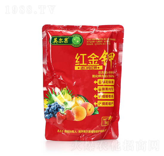 �M(j��n)�ڼ��t� �t��� Ӣ����