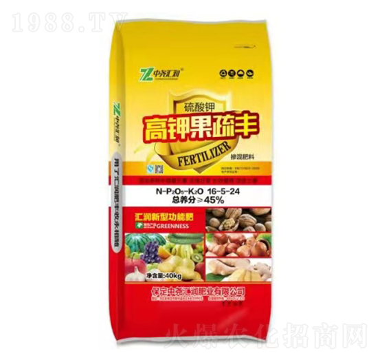 ��⛹����S16-5-24 �Ј�R��