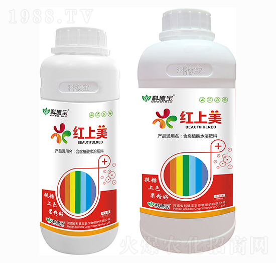 ����ֲ��ˮ�ܷ��� �t����  �Ƶ�