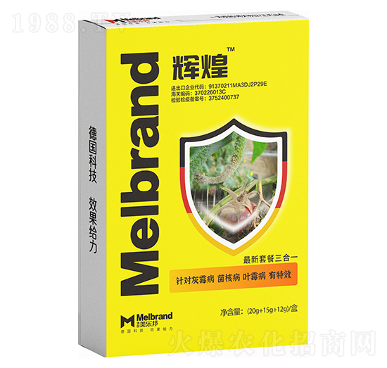 �x�� ������