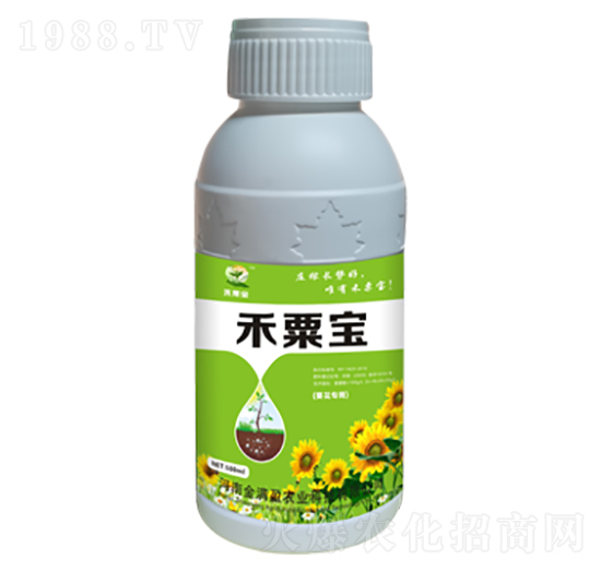 �������÷� ���ڌ� ��Mӯ�r(n��ng)�I(y��)