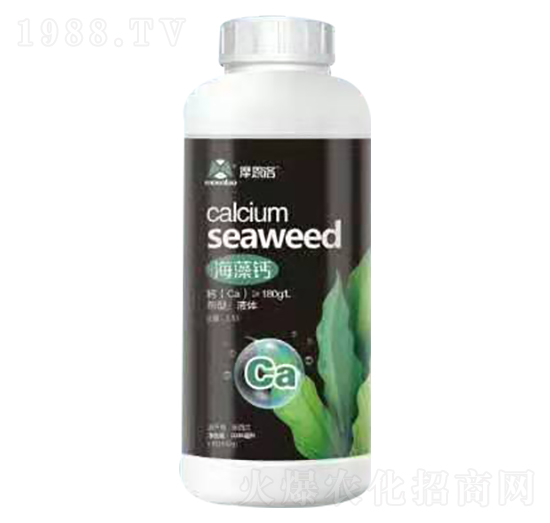 �����} Ħ����