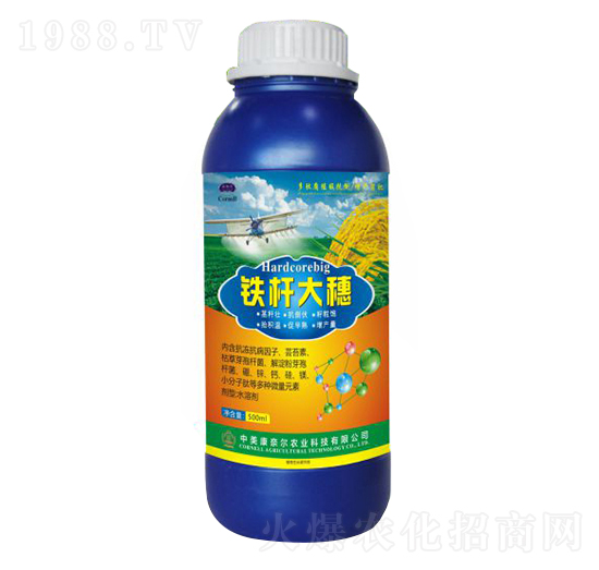 �F�U����-�����S-���Π�