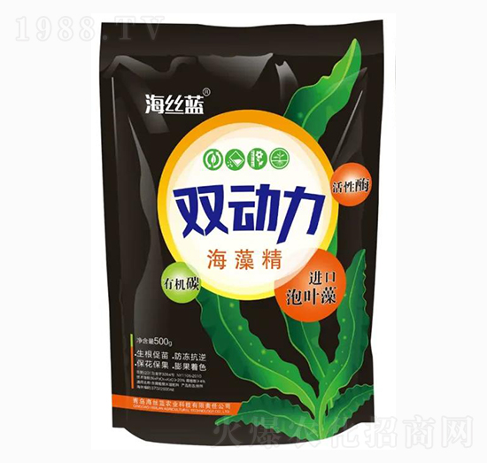 �p�������徫 ���z�{