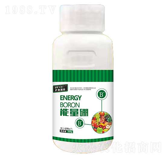 ������-�o(h��)��