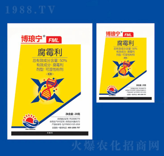 50%��ù�� ������FML ��Ƚ���W(xu��)