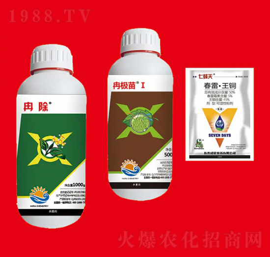 ��(x��)���M�Ϣ� ��Ƚ���W(xu��)