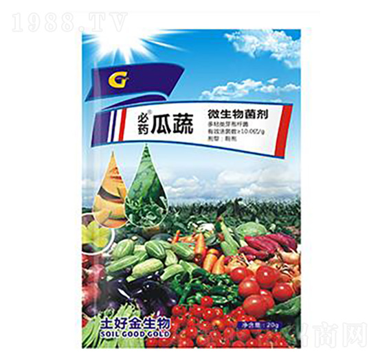 20g���� ���ý�