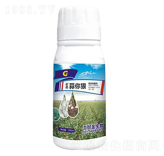 ����� ���ý�