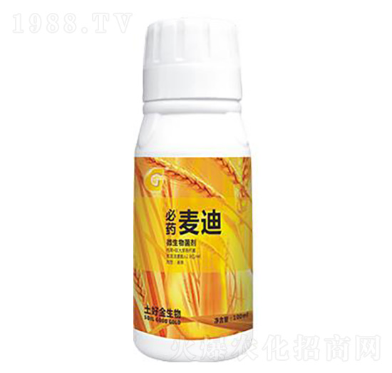 ΢������� ���� ���ý�