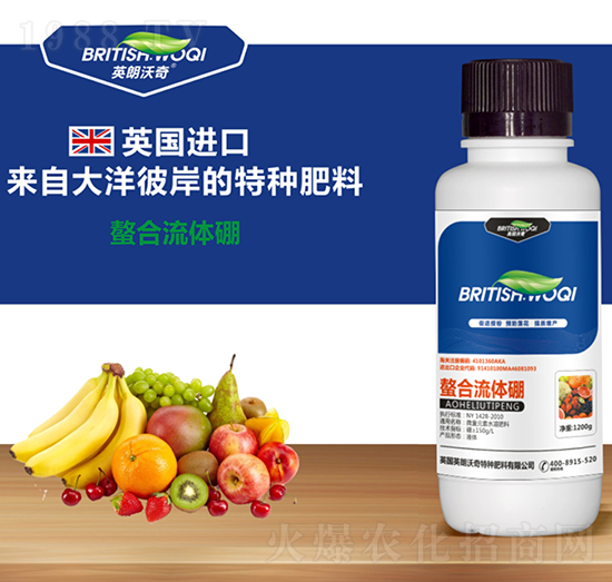 �������w��-Ӣ������