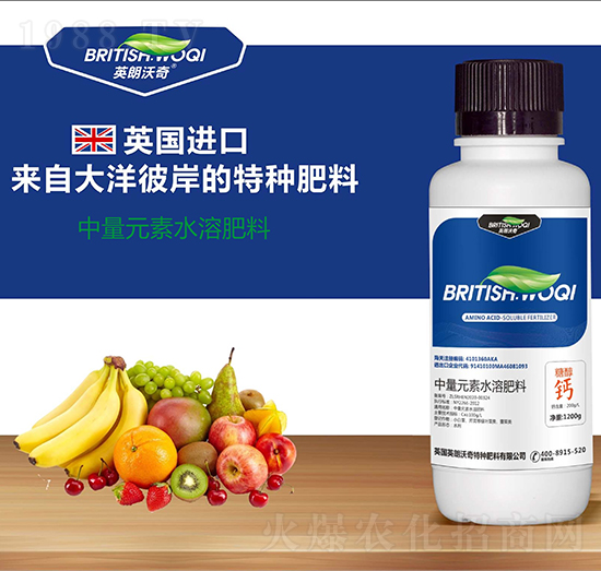 ����Ԫ��ˮ�ܷ��� �Ǵ��} Ӣ������