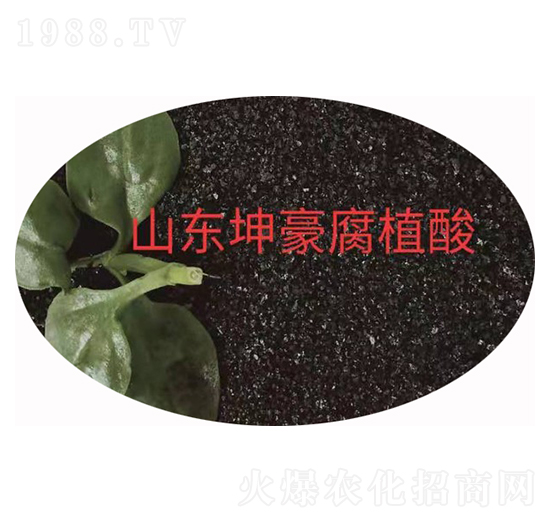 ���65 ����