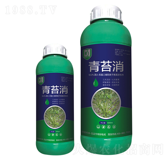 ��̦��-���I�r�I(y��)