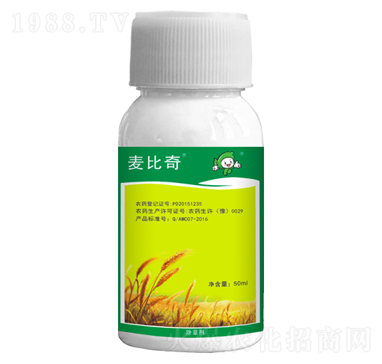 15%Ȳ����-������-�S�՘�