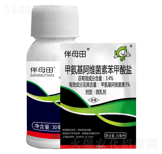 3%�׾S�}-��ĸ��-�S�՘�