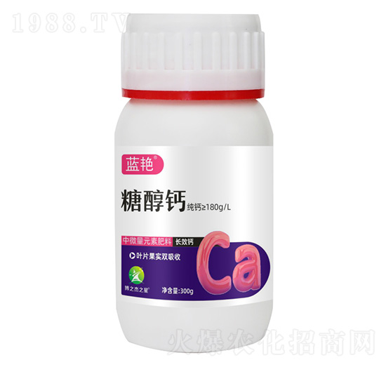 �Ǵ��}-�{�G-�S�՘�