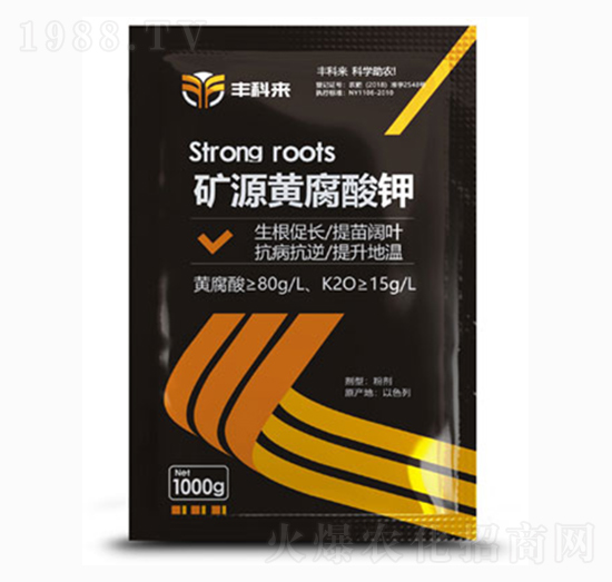 1000g�VԴ�S�����-�S�Ɓ�(l��i)-����������