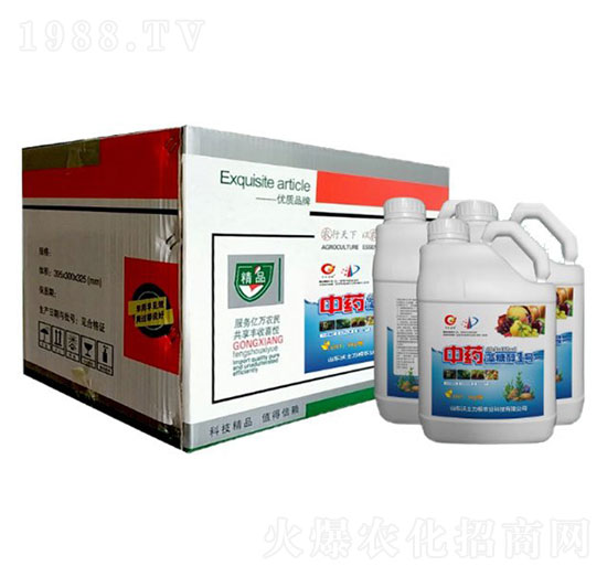 ��ˎ���Ǵ�1̖-�W�����F(tu��n)