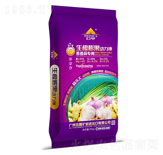 ������������-�ü�-�ƈD�V��