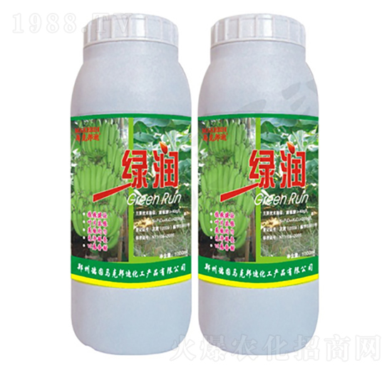 �㽶�����~���-�G��-�R�˰��