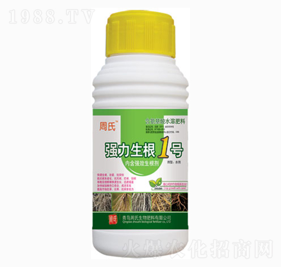 ��������1̖-�����r��