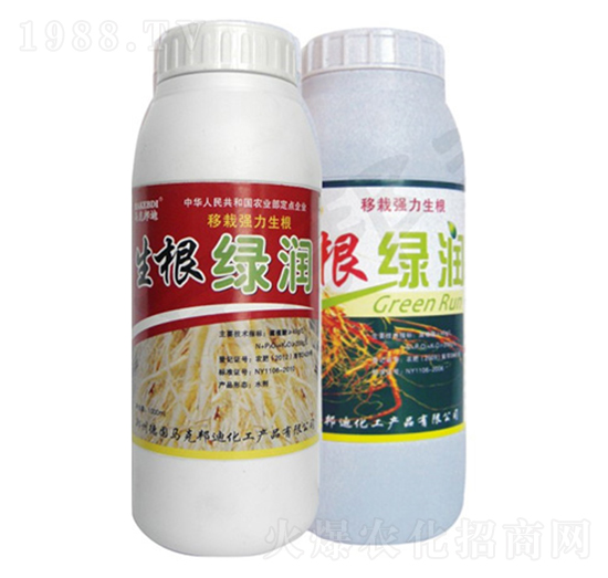 �����G��-�R�˰��