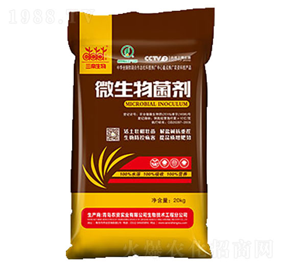 10�|΢������� �����_(d��)