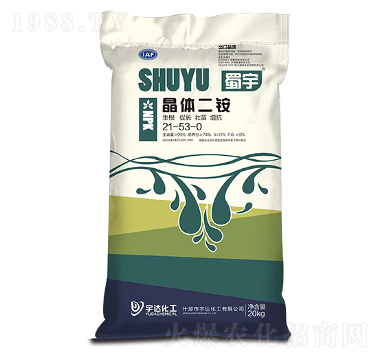 ���w���@21-53-0 ���� ���_����