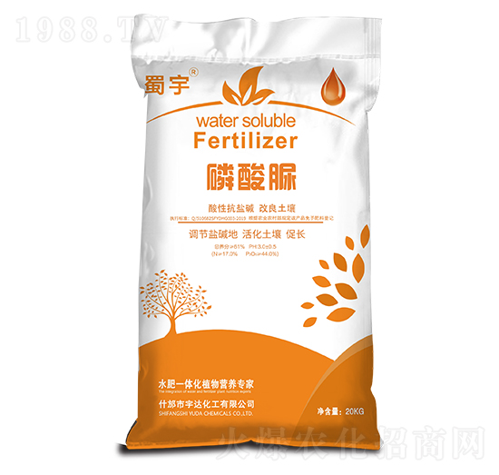 ������ ���� ���_����