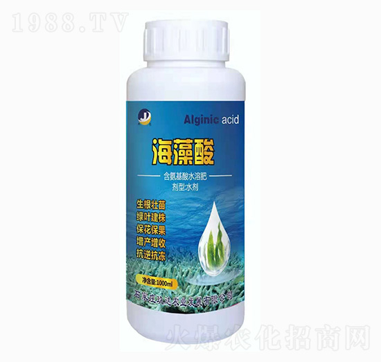 ������ ���_(d��)