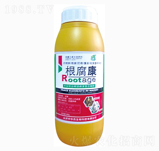 ������-�A������