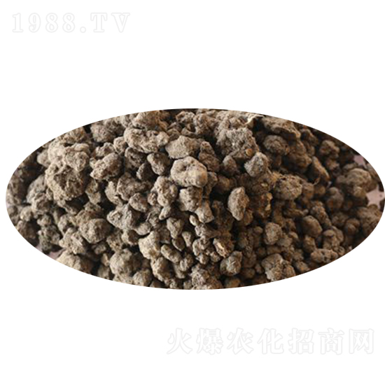 �w���l(f��)���u�S-������ʘI(y��)