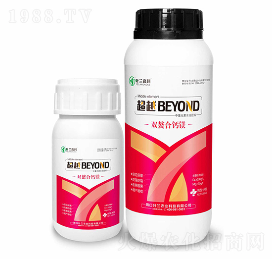 �p�����}�V-�~�m�߿�