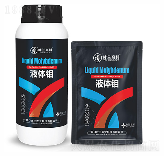 Һ�w�f-�~�m�߿�