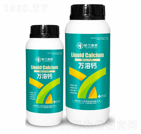 �f���}-�~�m�߿�