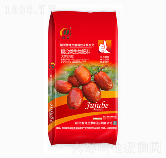 �󗗌�(zhu��n)�Ï�(f��)��΢�������-�ǵ�