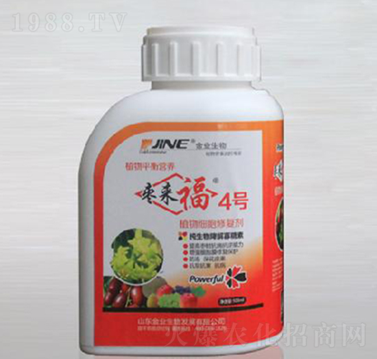 ֲ�：���ޏ̈́�-������4̖-��I(y��)����