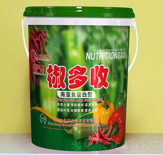 �����~(y��)������-������-ľ�~(y��)ʯ����