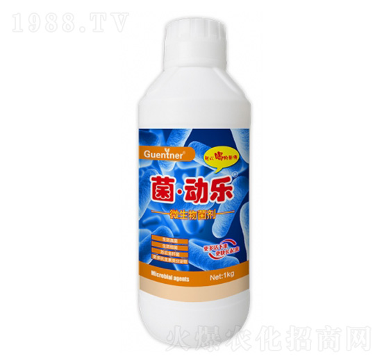 微生物菌劑-菌·動樂-昆騰農業(yè)