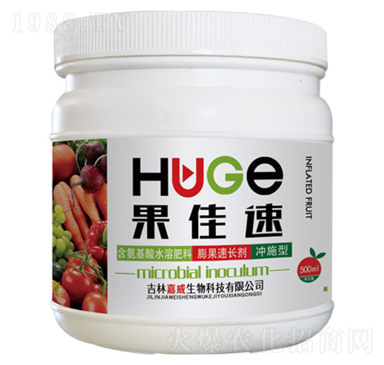 ������L��-������-�߿���