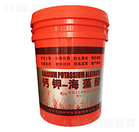 �}⛺�����-�߿���