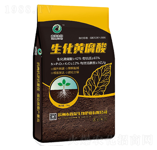 �����S����-�Θs