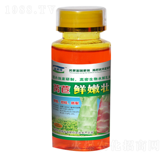 萵苣鮮嫩壯-富源祥