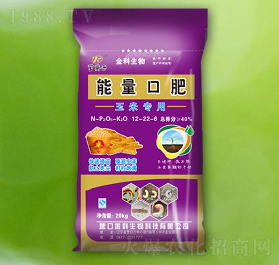 ���׌��������ڷ�-�I�x��-�������