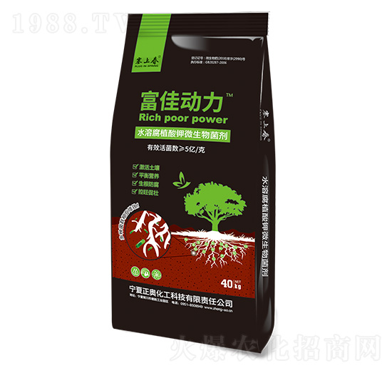 ���ф�(d��ng)�� ���W����