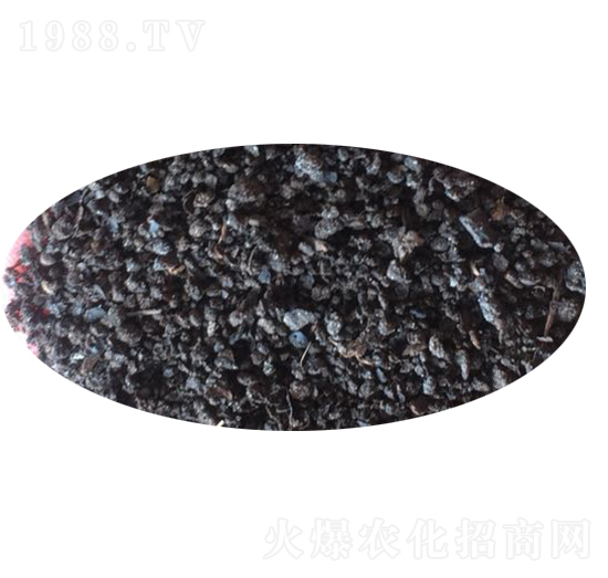 �w���ЙC(j��)��-Ԫ������