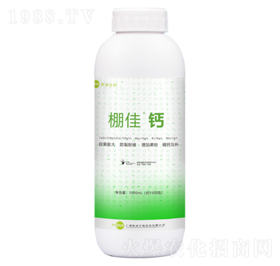 ����}-�������