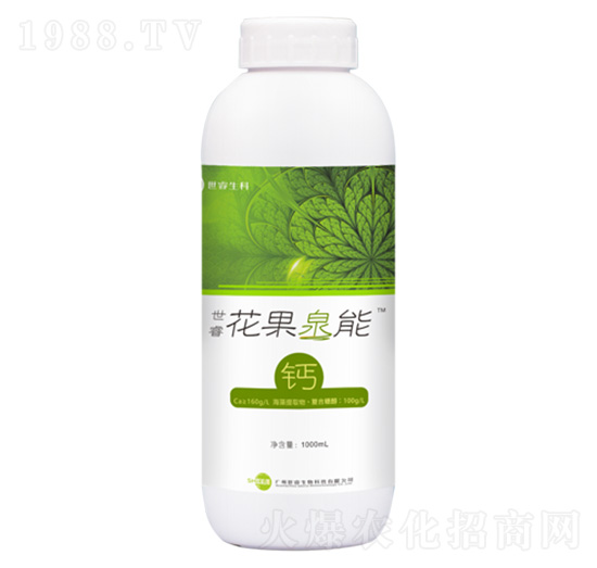 ��������Ȫ���}-�������