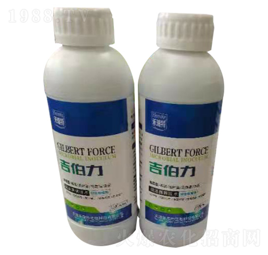 ������-������